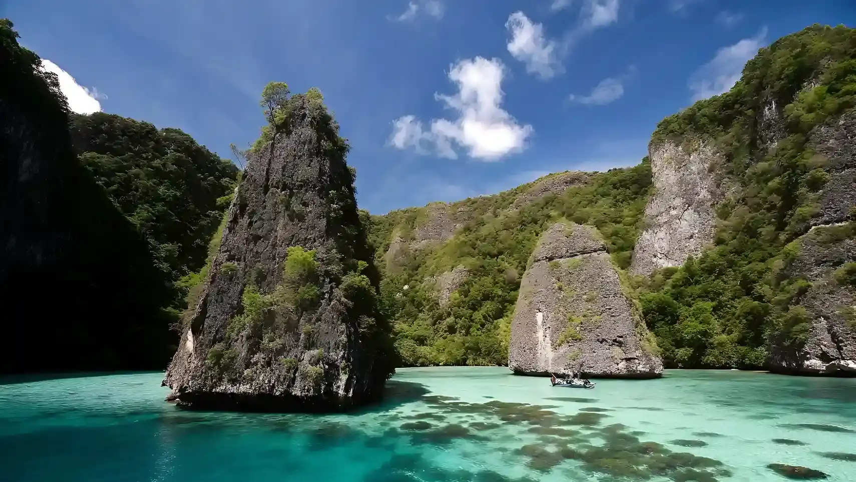 What is the Best Time of Year for Diving in Misool?