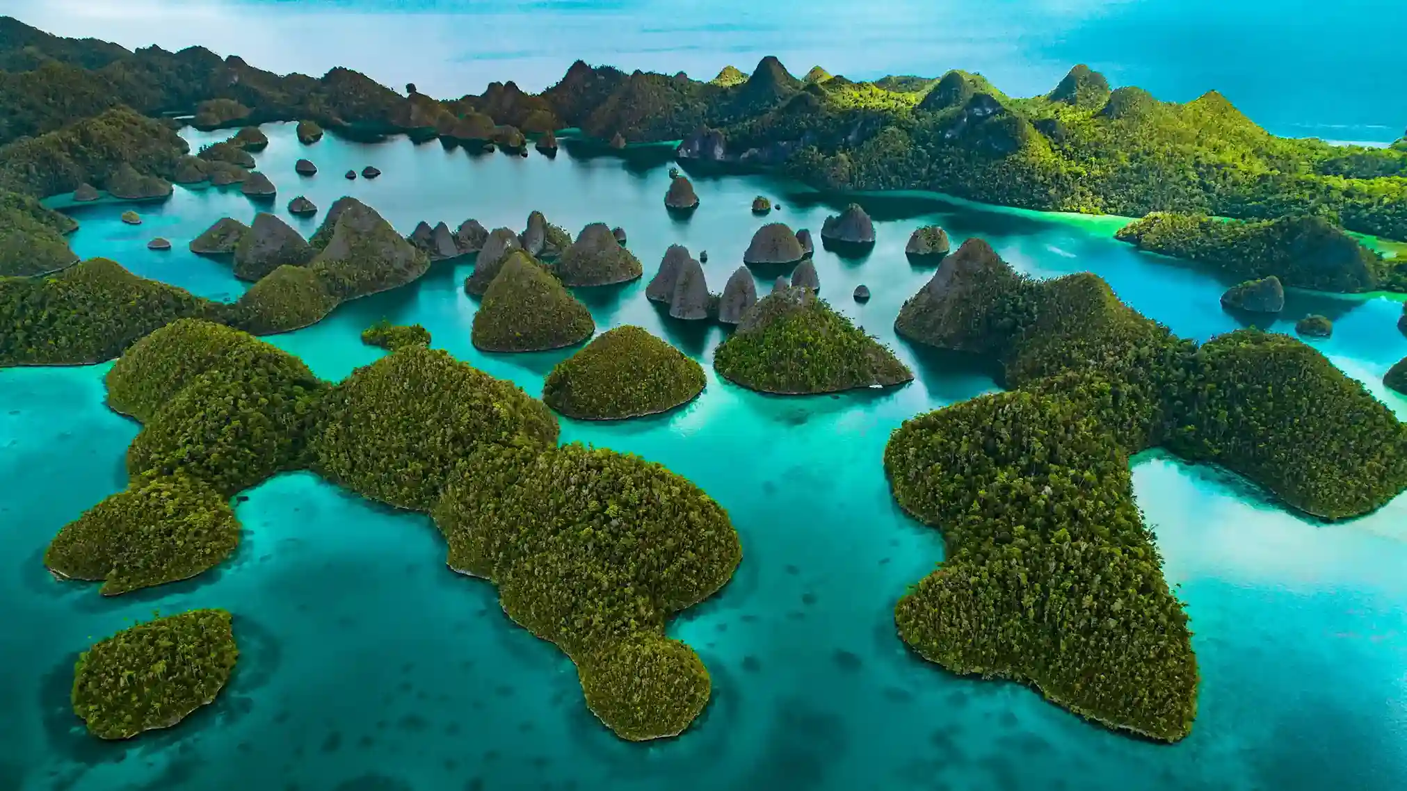 How Much Does a Luxury Misool Diving Trip Cost?