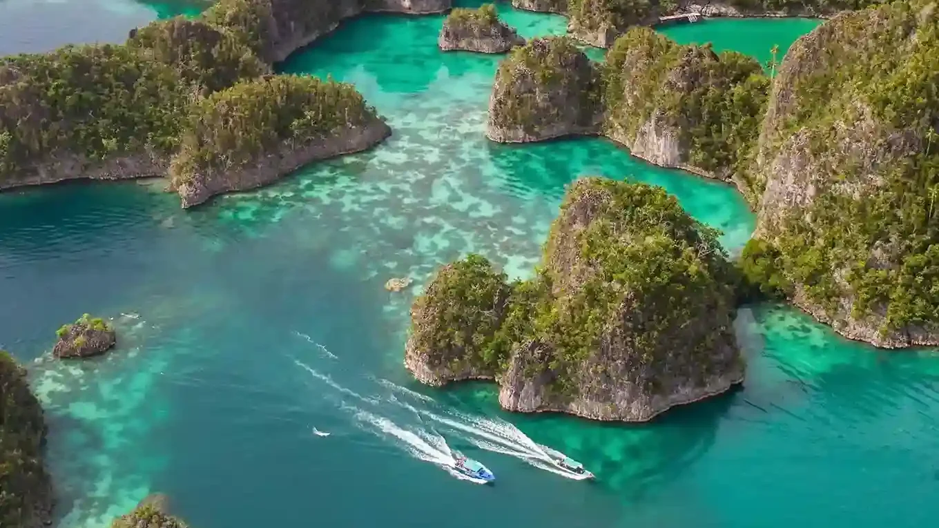 Misool Diving: Your Insider Planning Checklist for 2027