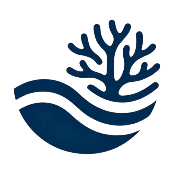Misool Diving