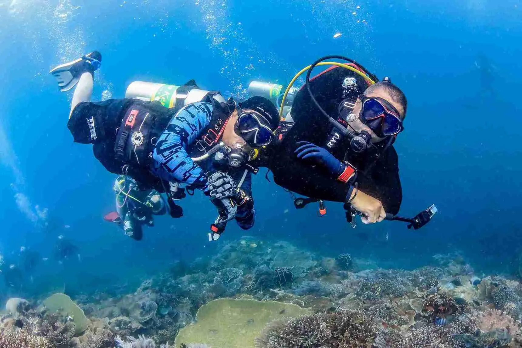 Top 10 Best Misool Dive Sites to Explore in 2027