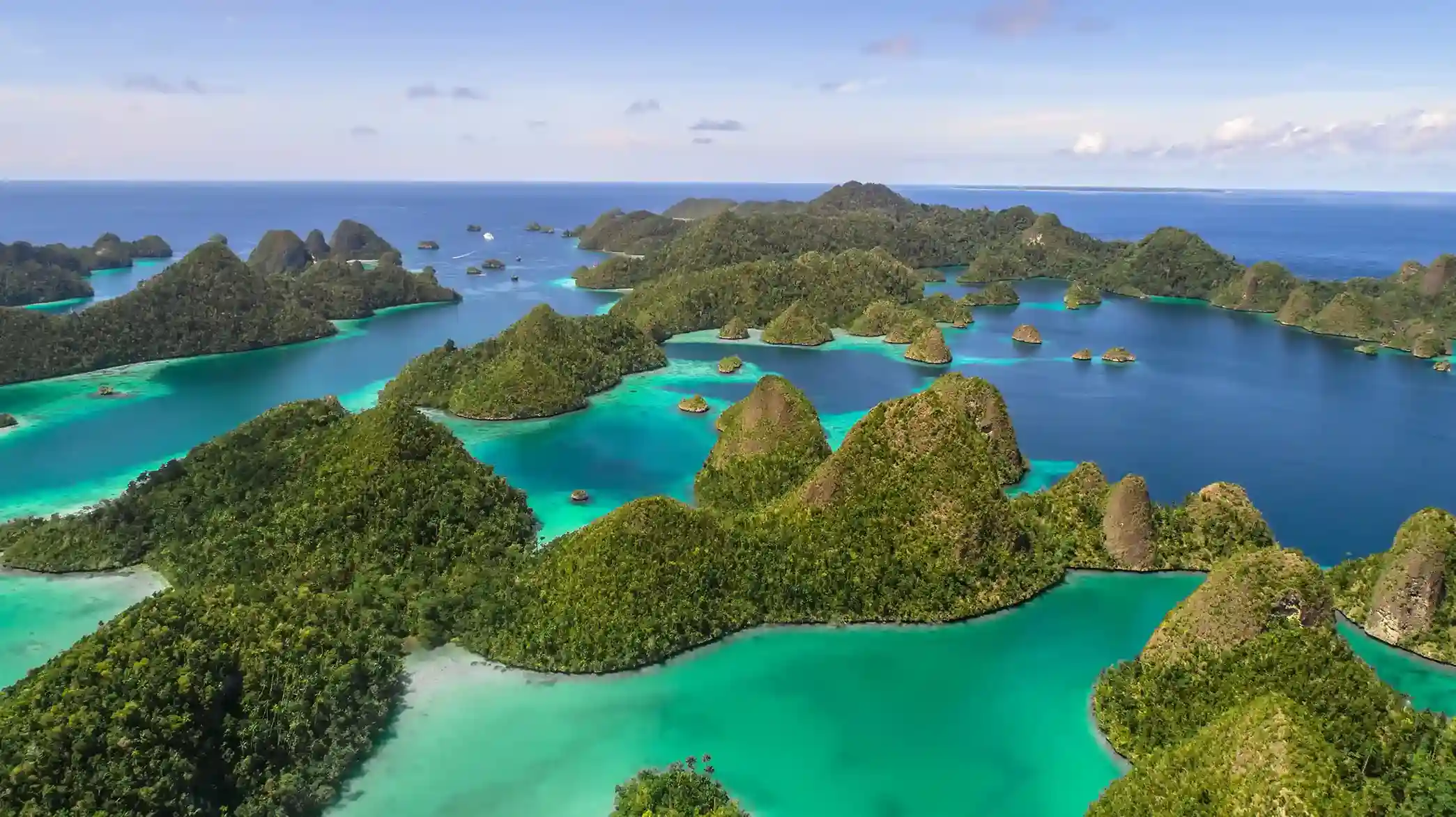 Best Time to Dive Misool in 2027: Why October–April Offers the Safest Seas and Peak Biodiversit