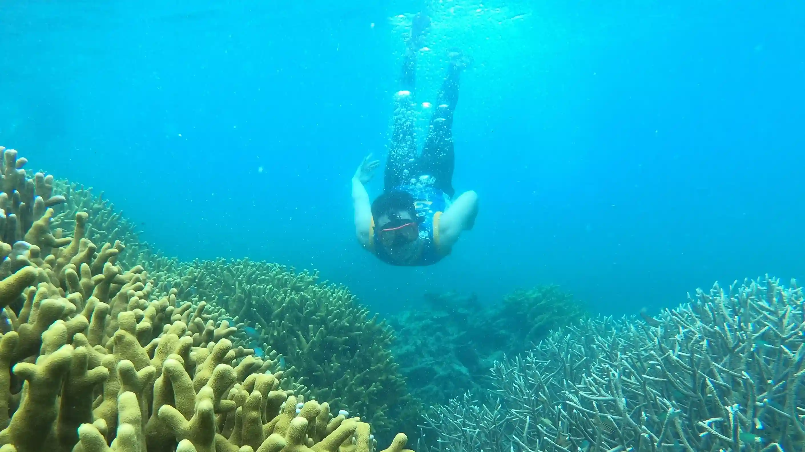 Eco-Friendly Diving Practices in Misool for 2027