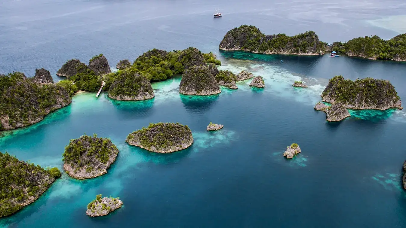 Planning Your Misool Diving Charter: Understanding Seasonal Availability for 2027