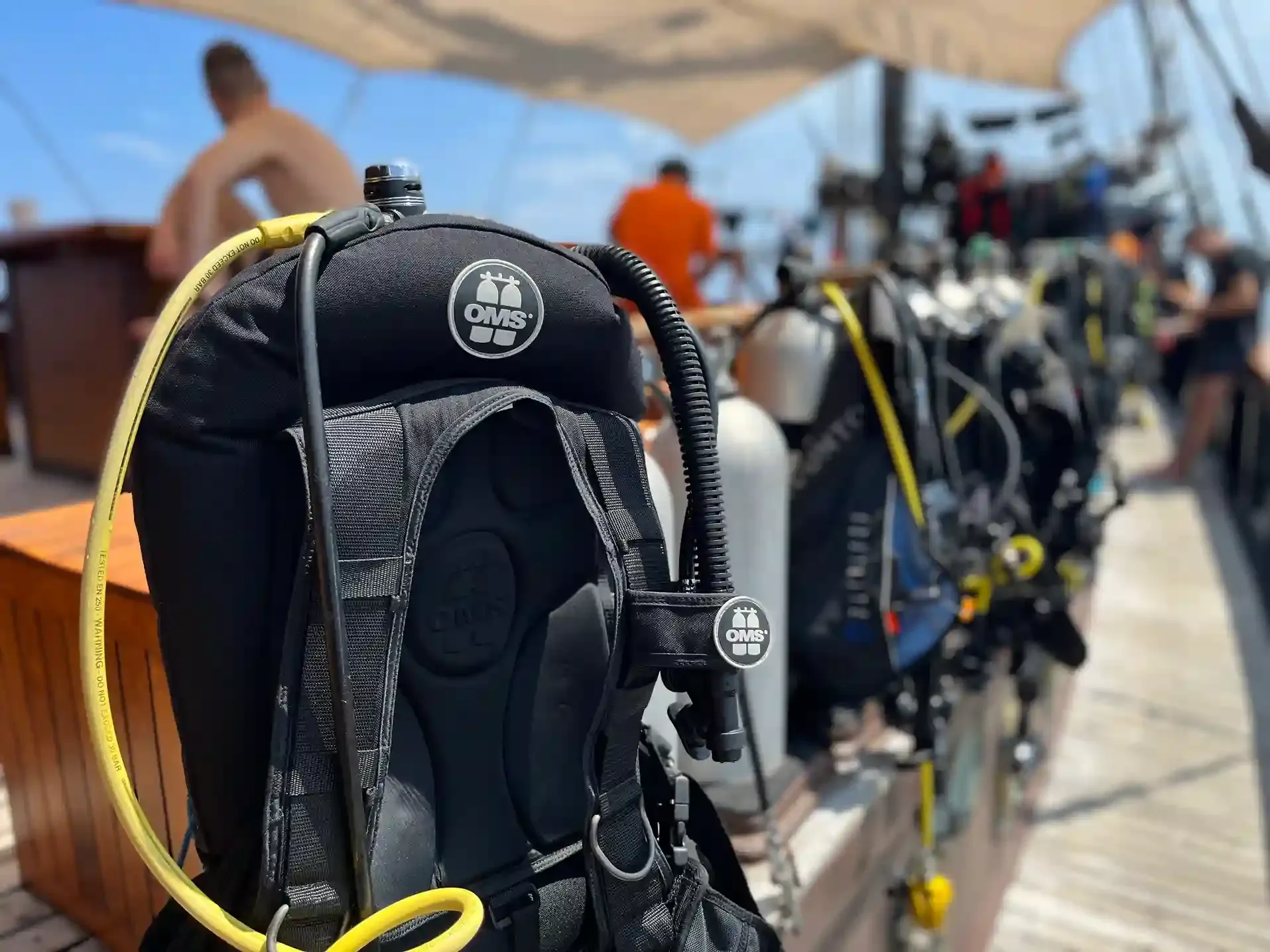 Misool Diving Packages, Prices And What’s Included