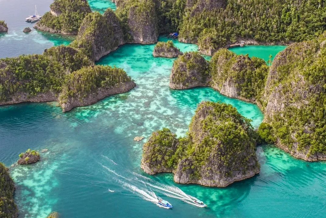 Misool Diving: A First-Timer’s Guide to Raja Ampat Charters