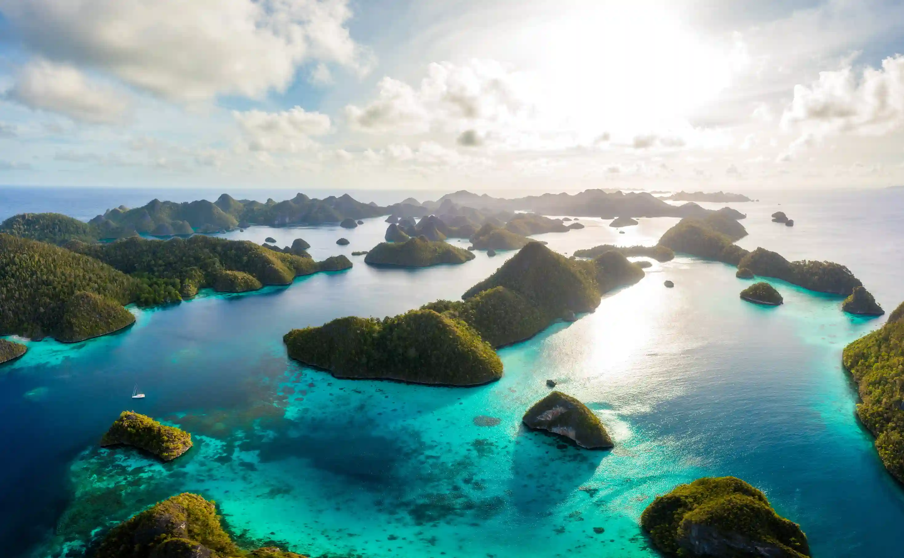 Misool vs Komodo: Which Indonesian Diving Destination is Best?